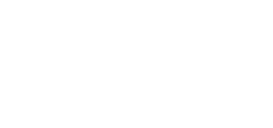 bnrhalf_projects