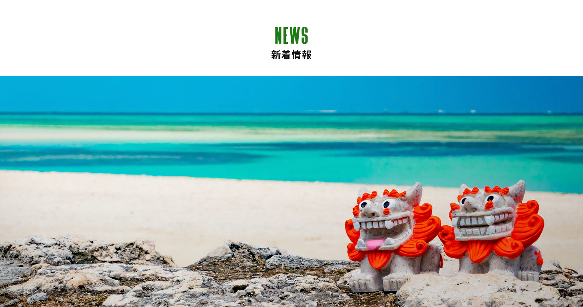 新着情報